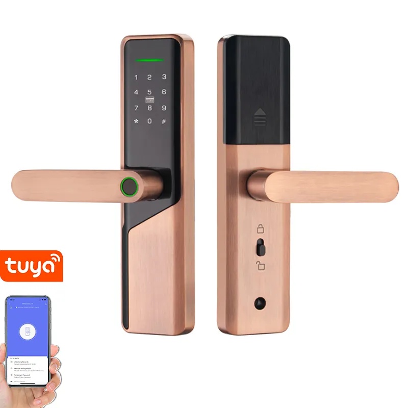 Tuya Wifi Door Lock 